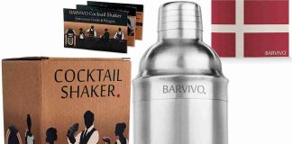 Best Stainless Steel Cocktail Shakers