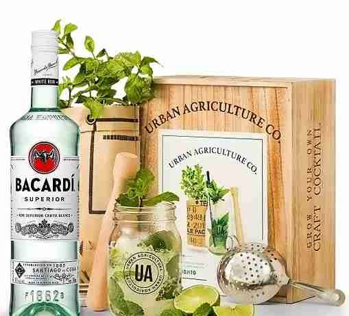 Best Cocktail Gift Sets