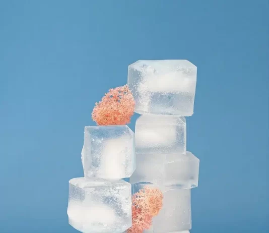 whats the role of ice in cocktails and how do i best prepare it 1