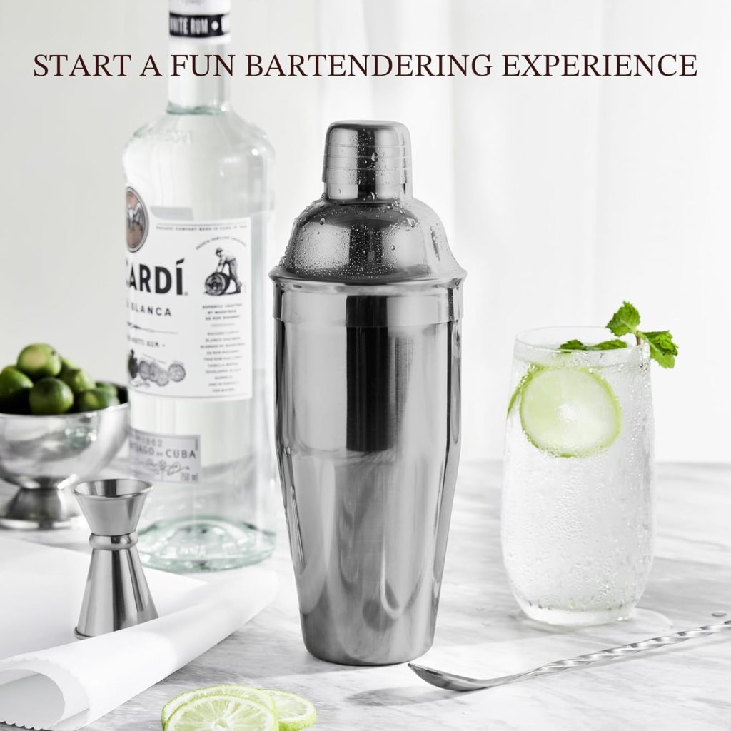 Cocktail Shaker, KITESSENSU 24oz Drink Shaker with Bartender Strainer, Measuring Jigger, Bar Mixing Spoon, Cocktail Recipe Guide, Professional Drink Mixer Set for Beginners, Silver