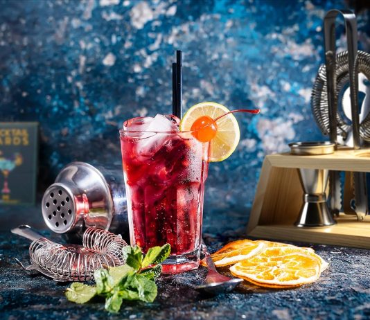 modern mixology bartender kit review